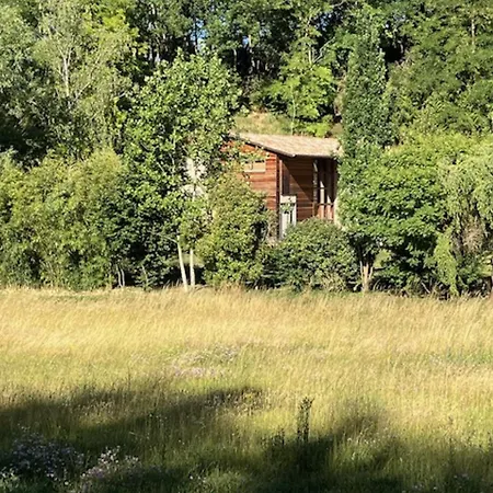D'hote Dans Les Bois *